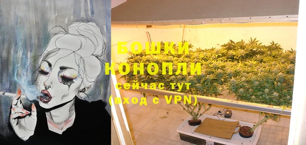 гашик Остров